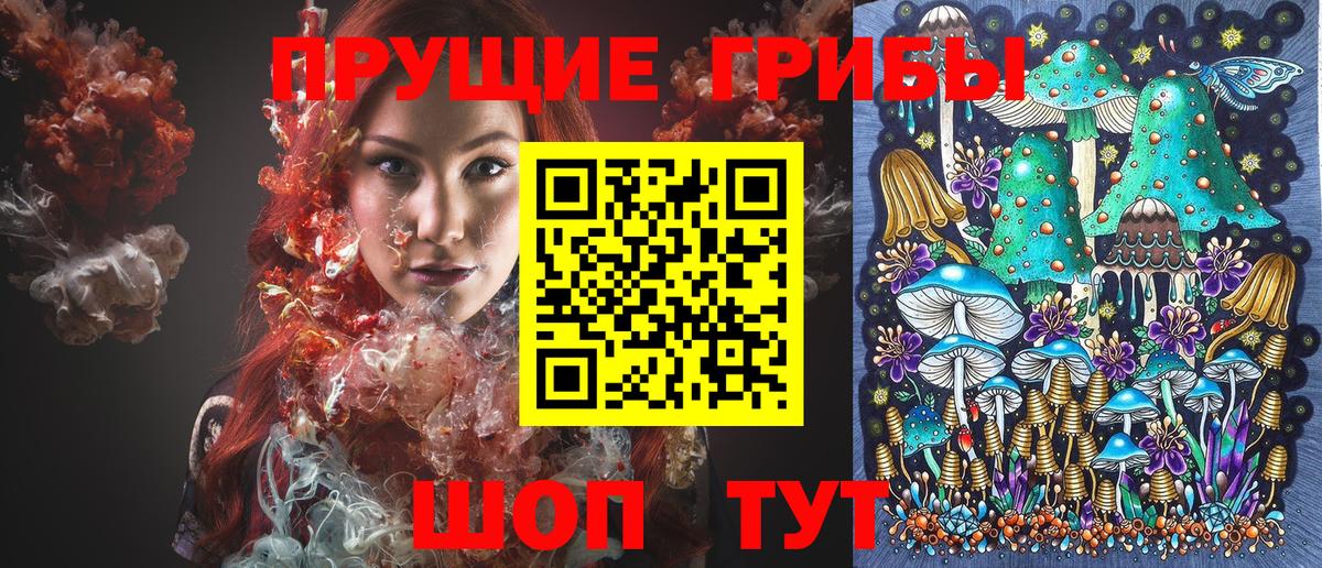 Луховицы  Галлюциногенные грибы Psilocybine cubensis  Вход с VPN 